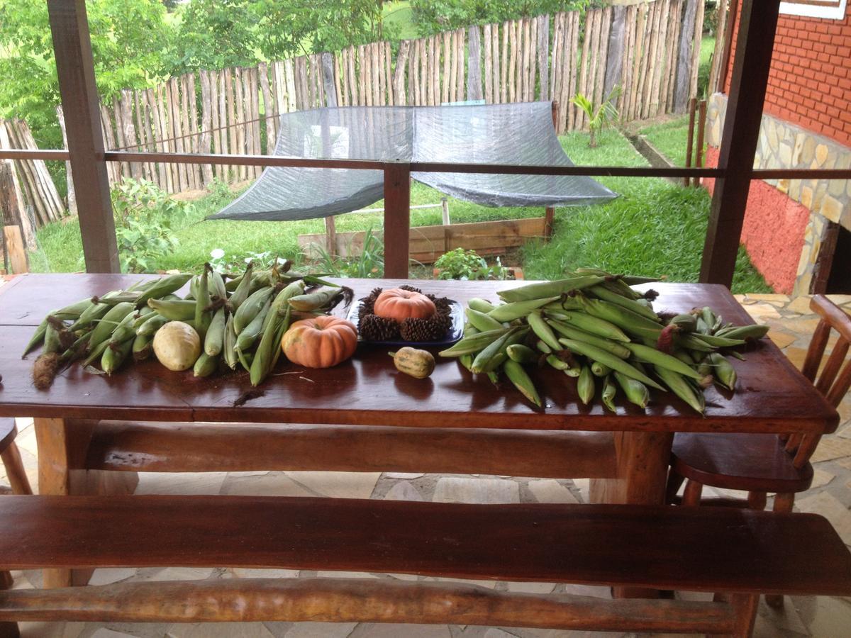 Pousada Chale Na Roca Penedo ภายนอก รูปภาพ